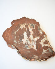 Rare Red Petrified Wood Slab 2.6lbs
