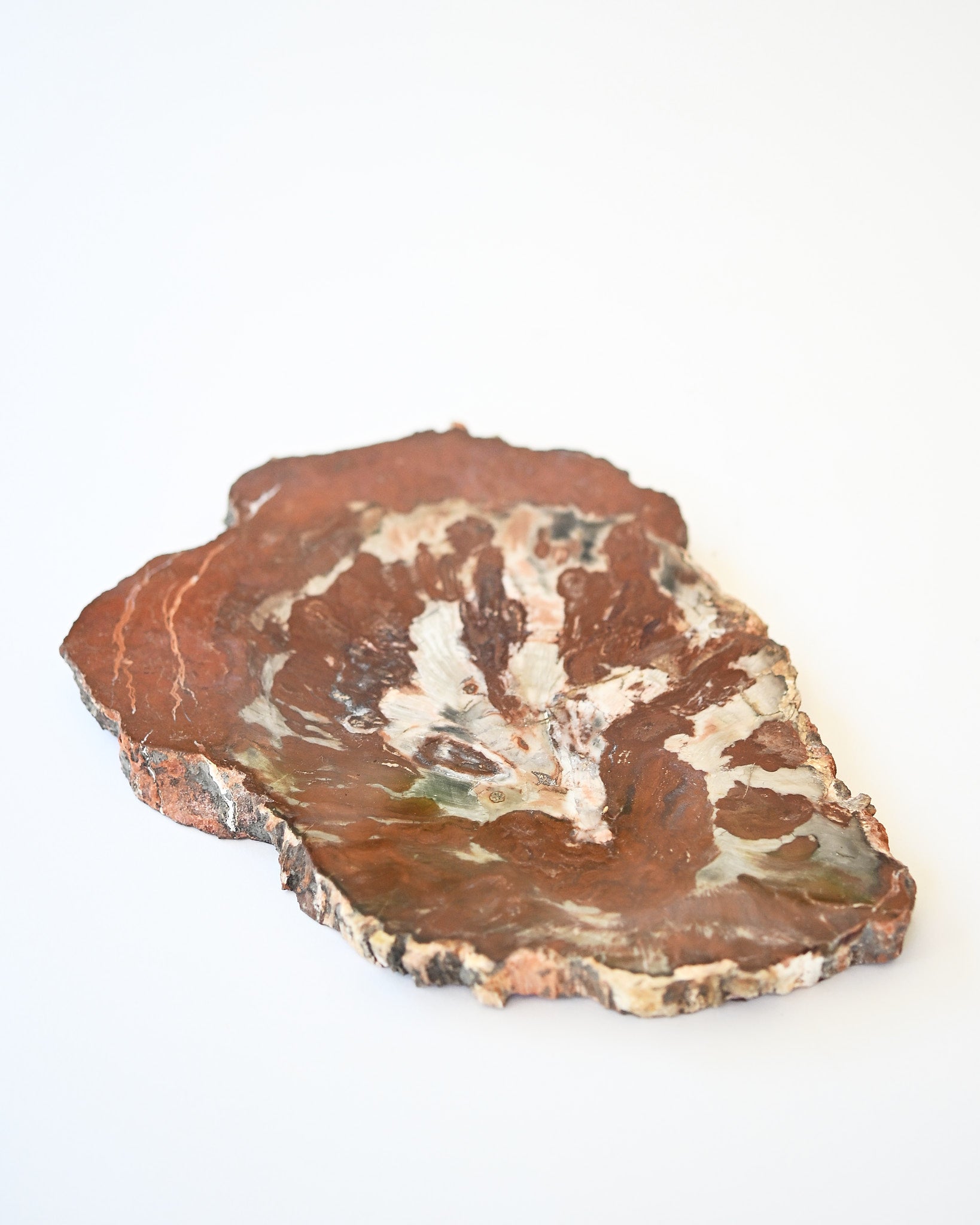 Rare Red Petrified Wood Slab 2.6lbs
