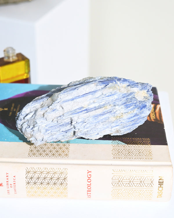 LG Blue Kyanite 2.6lbs