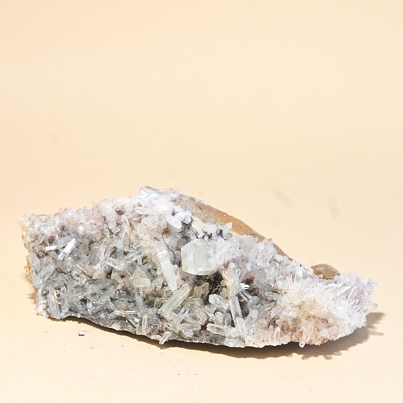 lemuriam--858--8x4x4--11400.jpg
