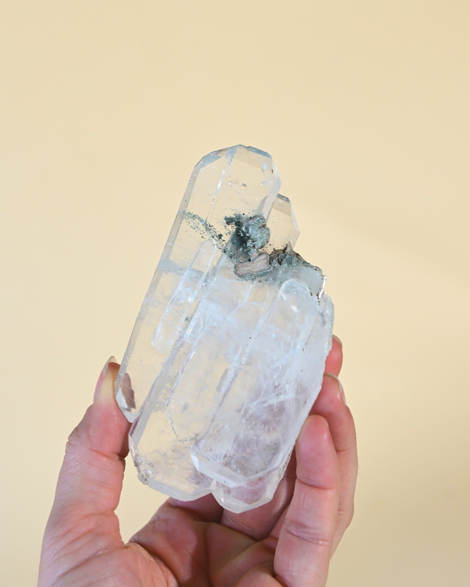 lemurian--137g--26c--3-12886.jpg