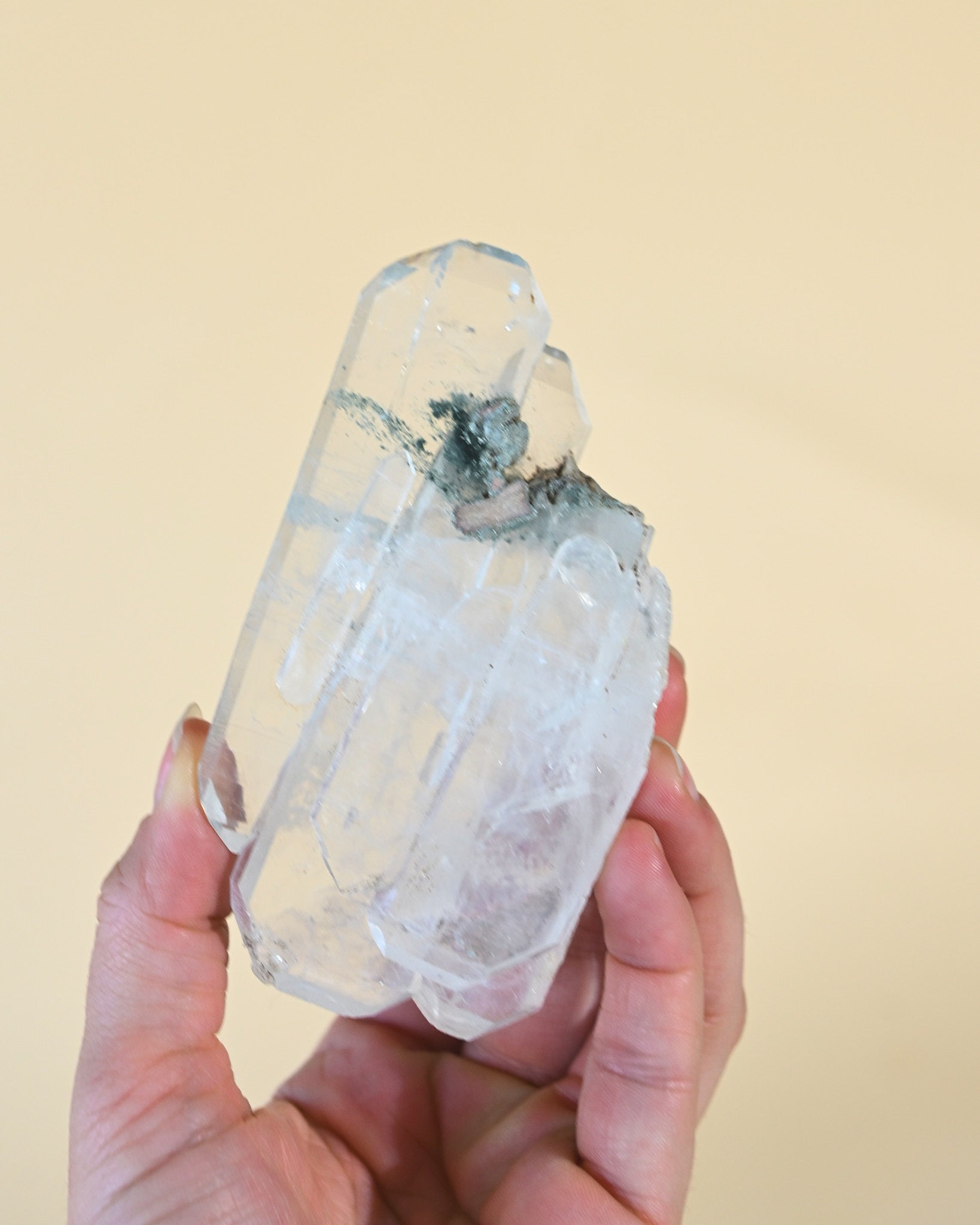 lemurian--137g--26c--3-12887.jpg