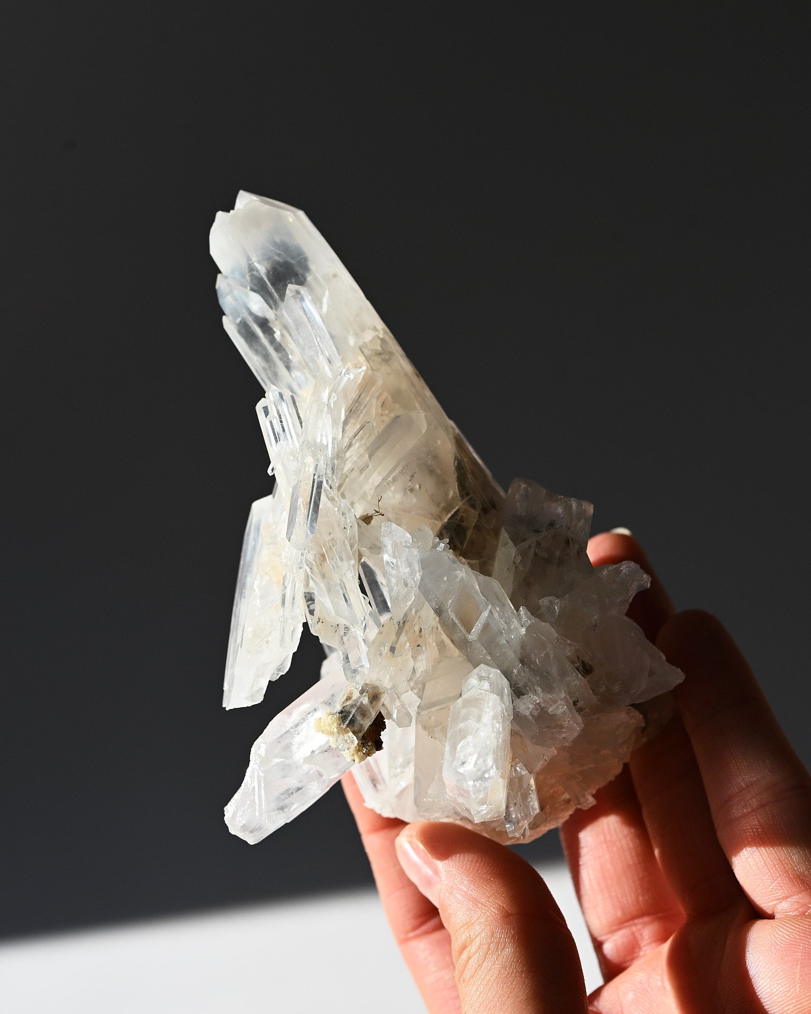 Lemurian Cluster