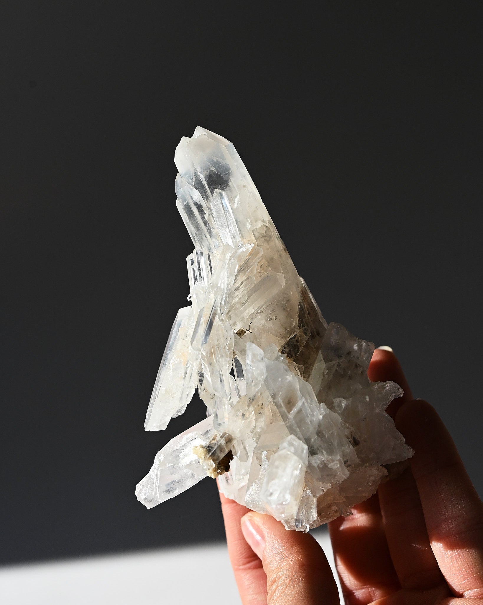 Lemurian Cluster