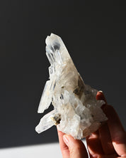 Lemurian Cluster