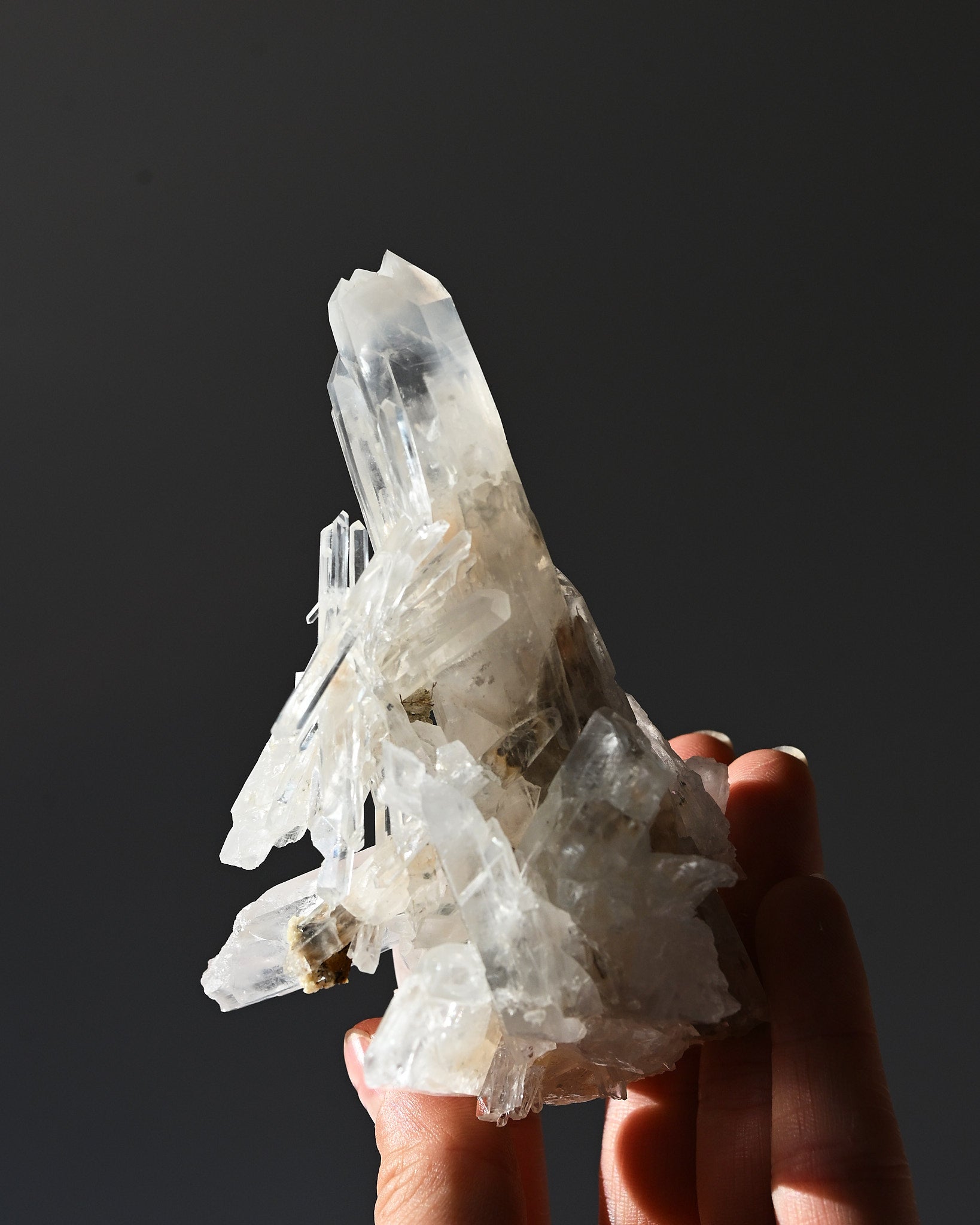 Lemurian Cluster