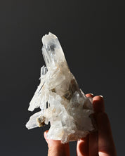 Lemurian Cluster