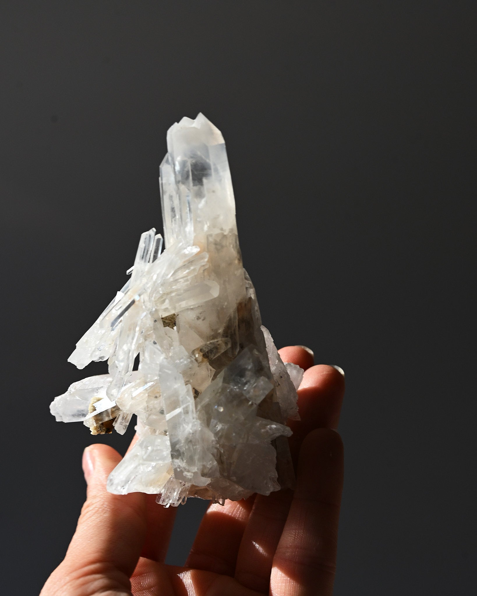 lemurian--3x2--177g--19c--8524.jpg