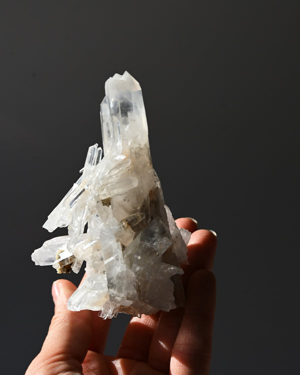Lemurian Cluster