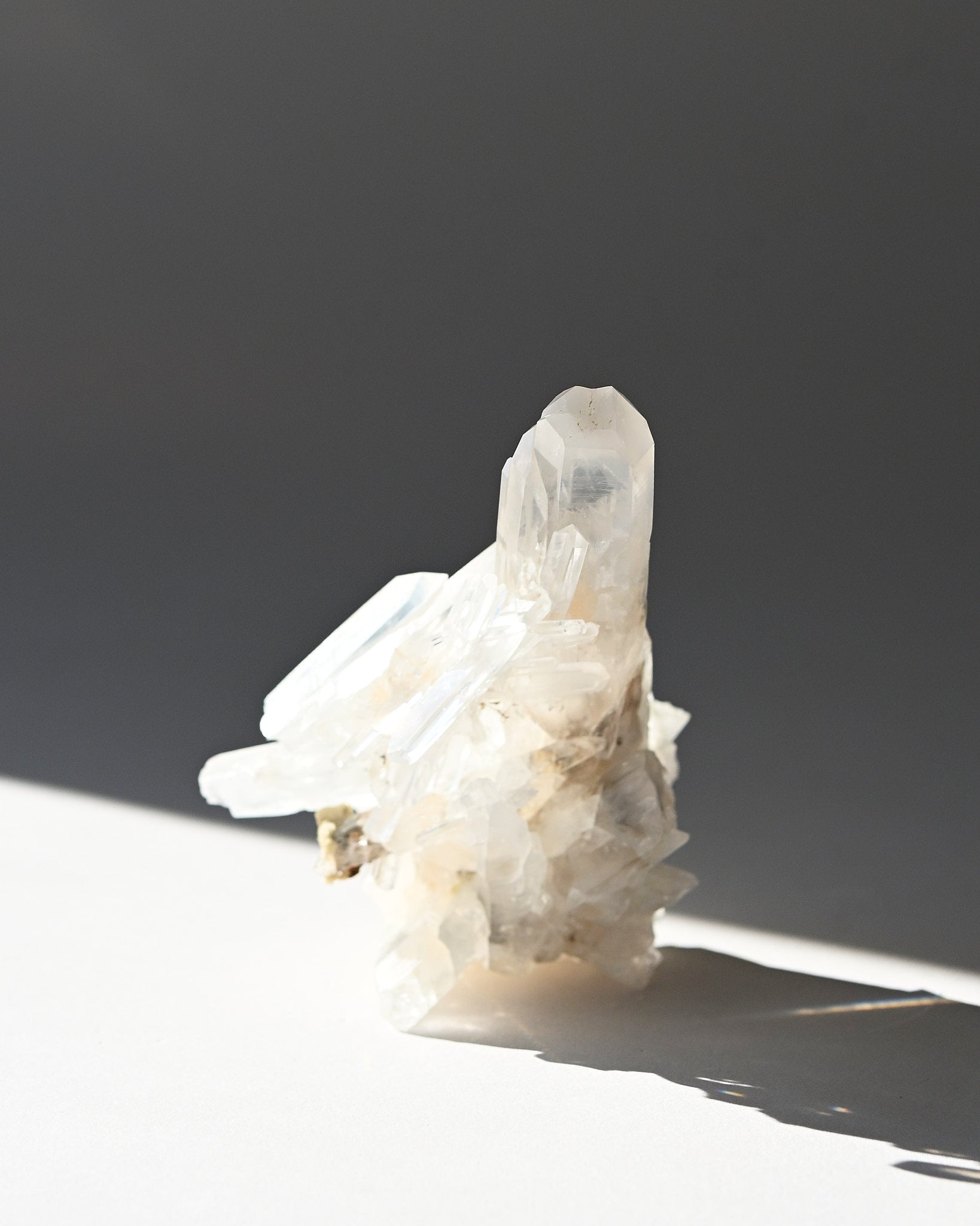 lemurian--3x2--177g--19c--8525.jpg
