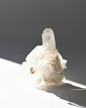 Lemurian Cluster
