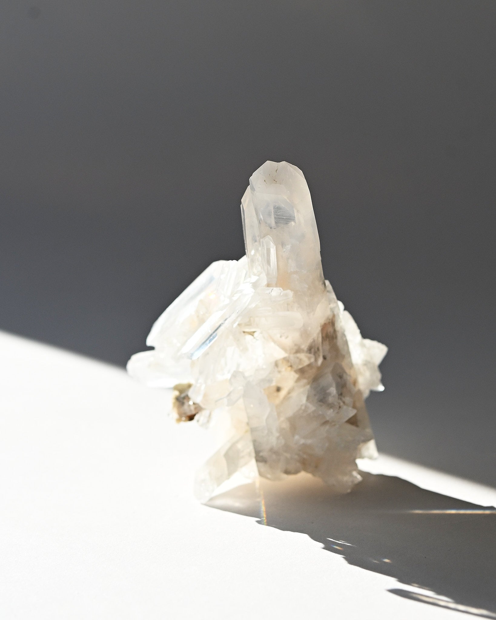 lemurian--3x2--177g--19c--8526.jpg