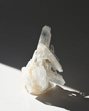 Lemurian Cluster