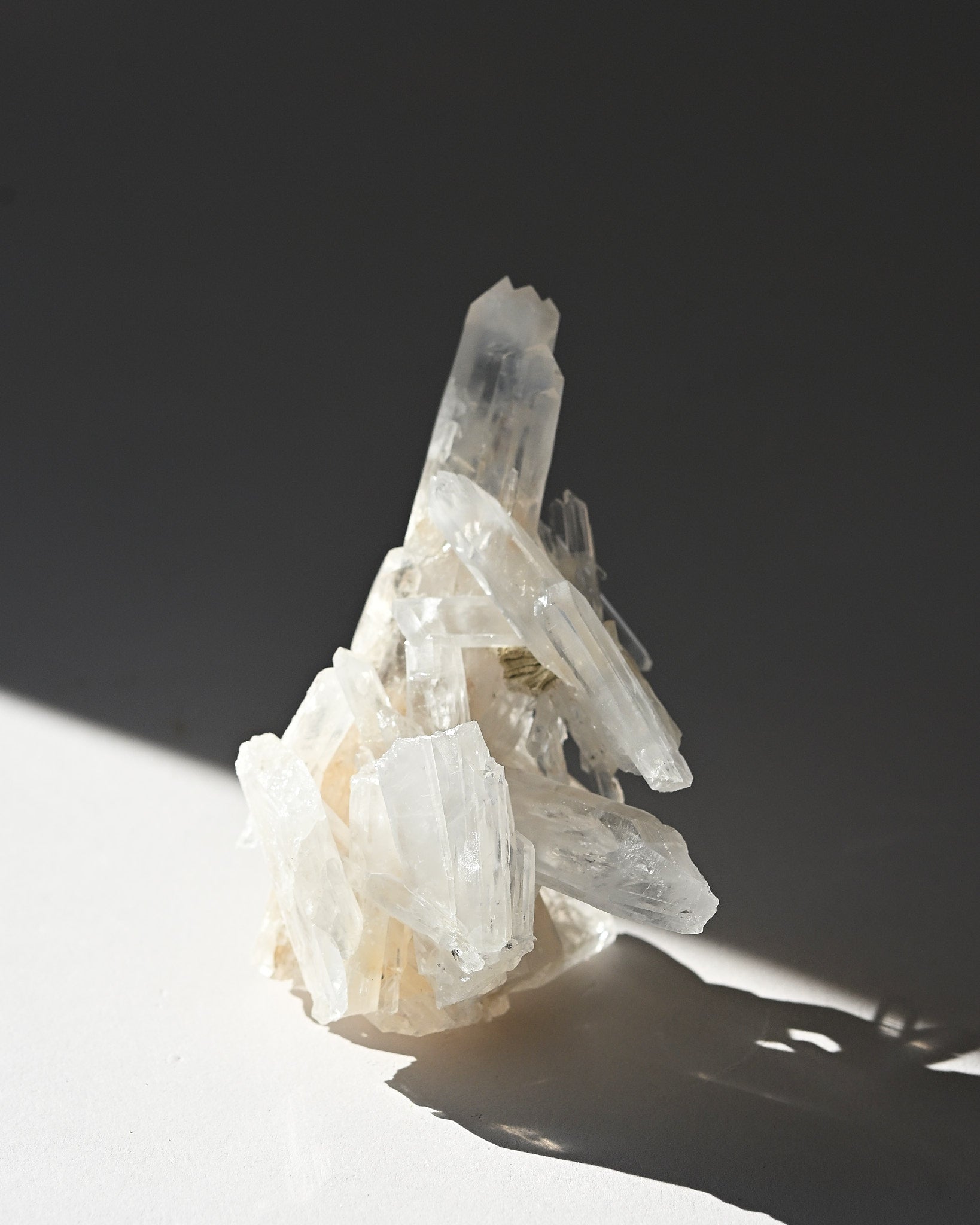 lemurian--3x2--177g--19c--8527.jpg