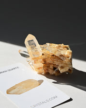 Golden Healer Lemurian Quartz Cluster
