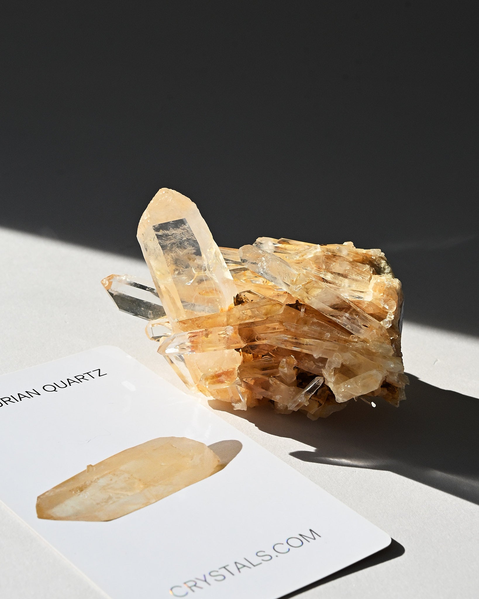 lemurian--3x2--222g--19c--8512.jpg