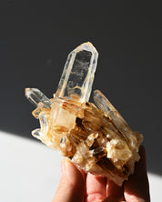 Golden Healer Lemurian Quartz Cluster