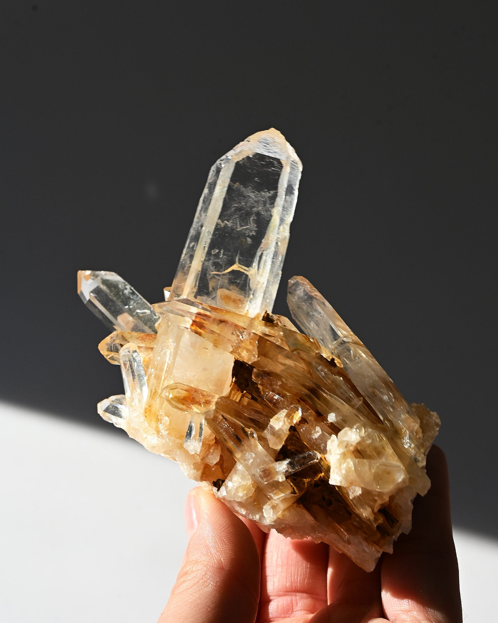lemurian--3x2--222g--19c--8513.jpg