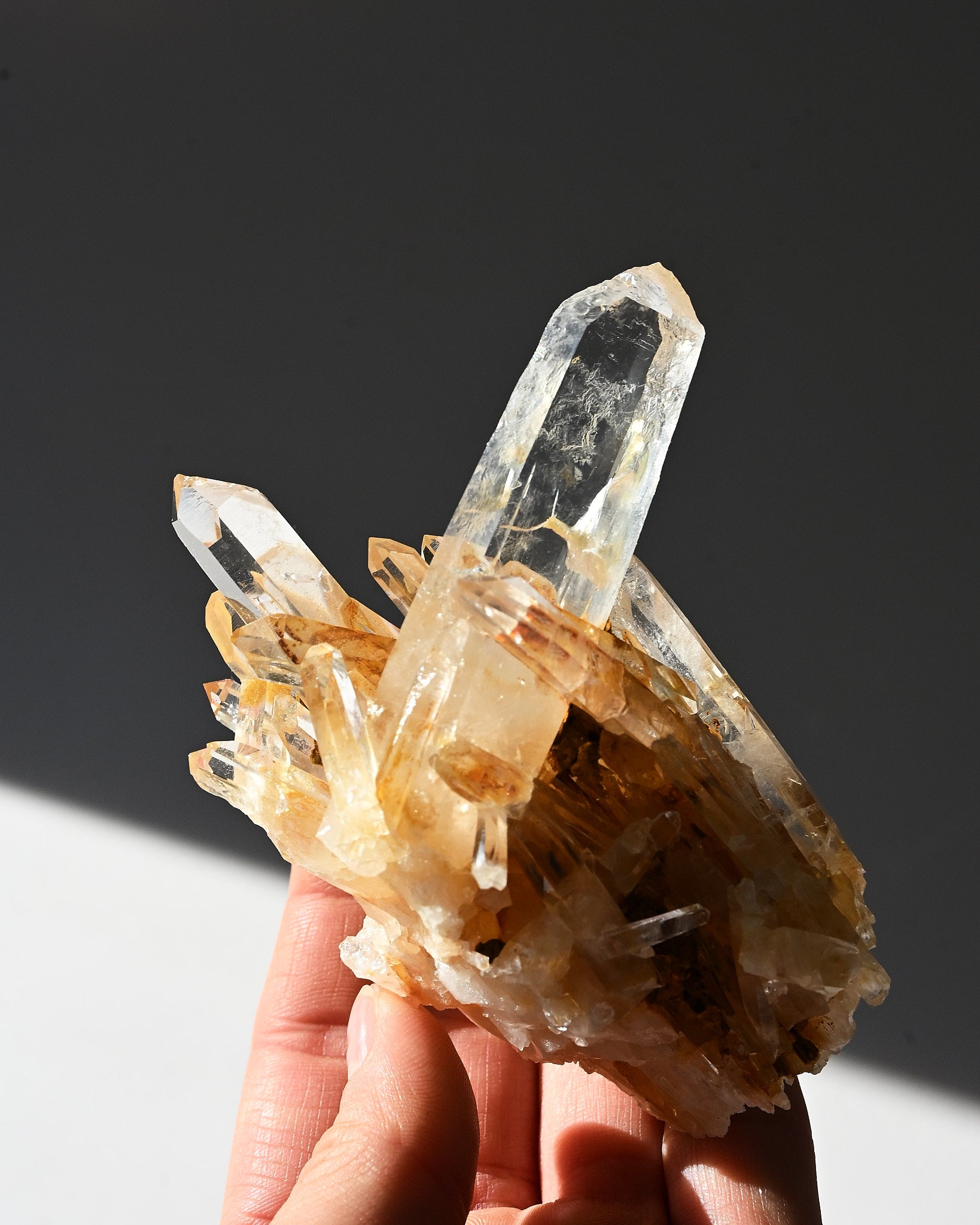 Golden Healer Lemurian Quartz Cluster