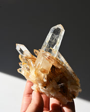 Golden Healer Lemurian Quartz Cluster