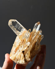 Golden Healer Lemurian Quartz Cluster