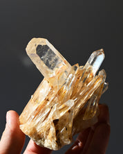 Golden Healer Lemurian Quartz Cluster