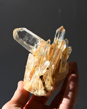 Golden Healer Lemurian Quartz Cluster