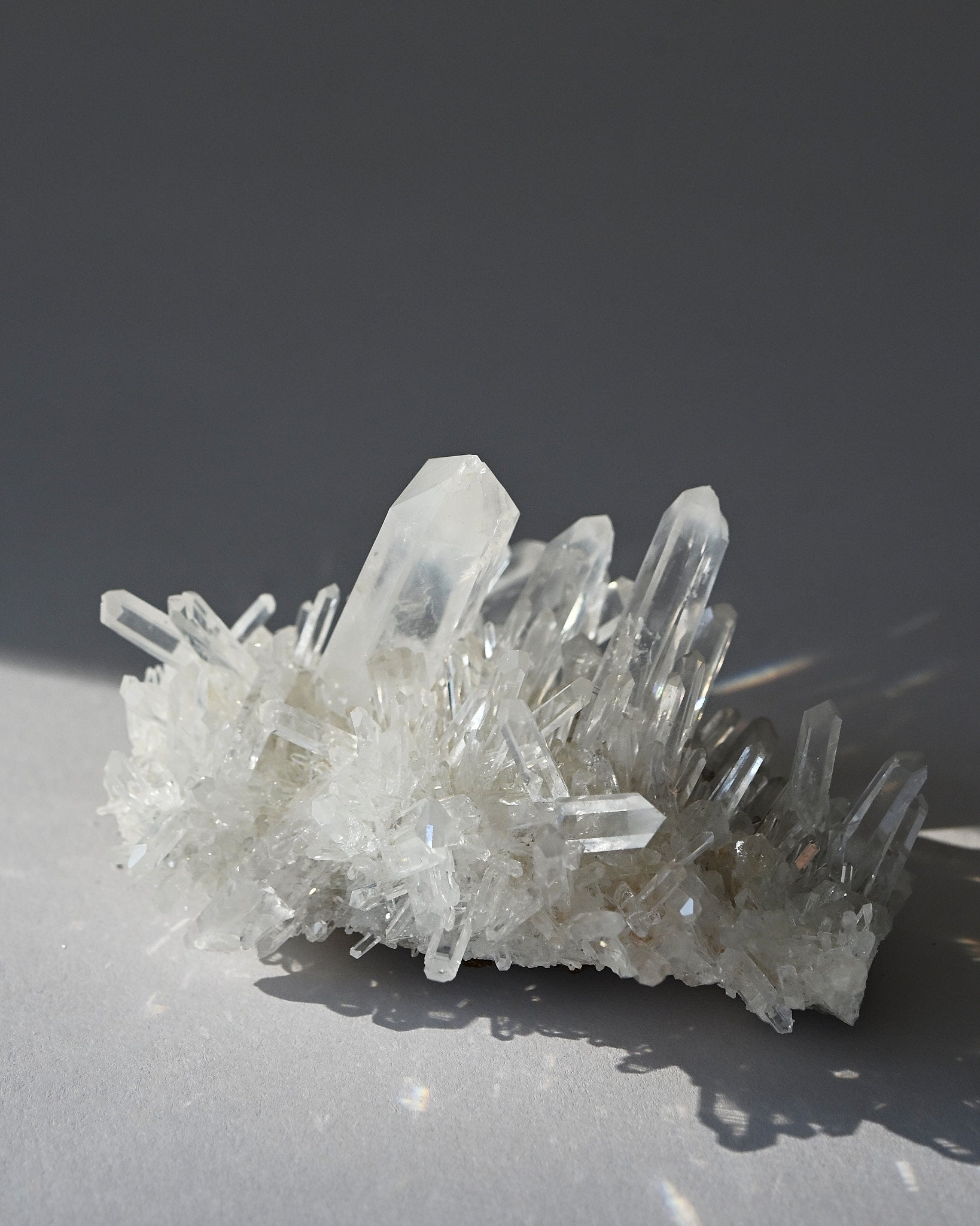 lemurian--4x3--201g--19c---8442.jpg