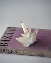 Lemurian Cluster 4in