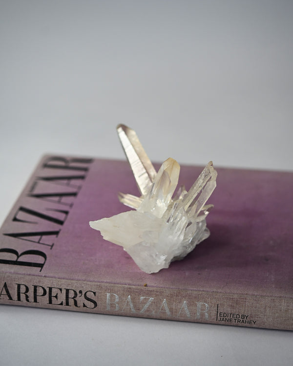 Crystal formation on a book titled 'Harper's Bazaar' with a plain background