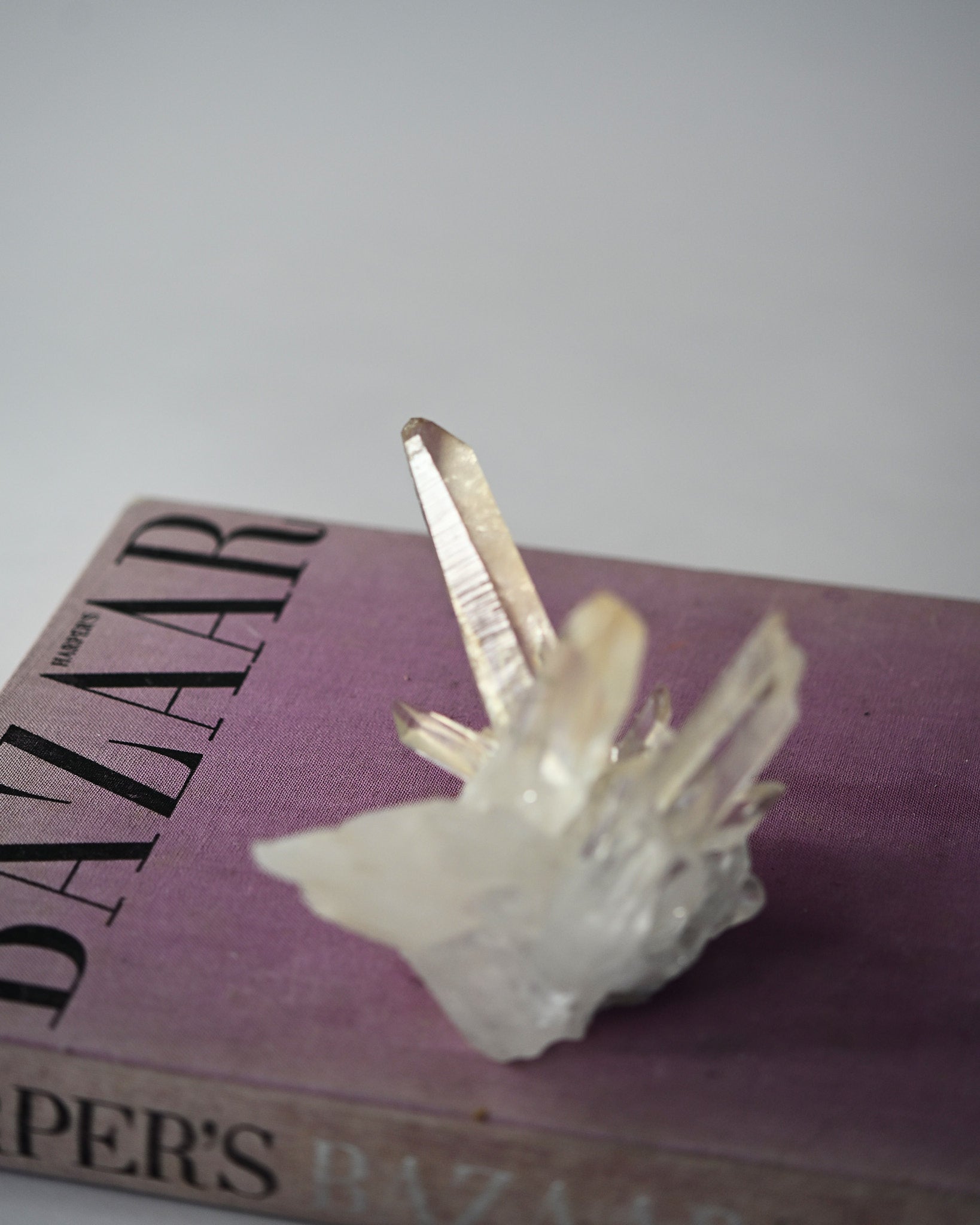 lemurian--4x4x-3--250--115c-86641_1508b11a-2c8f-4c08-8e99-99ac82c27ece.jpg