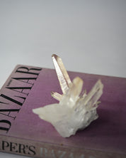 Lemurian Cluster 4in