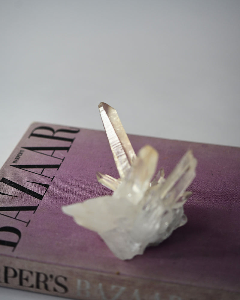 Curated by Our Founder