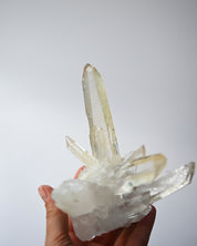 Lemurian Cluster 4in