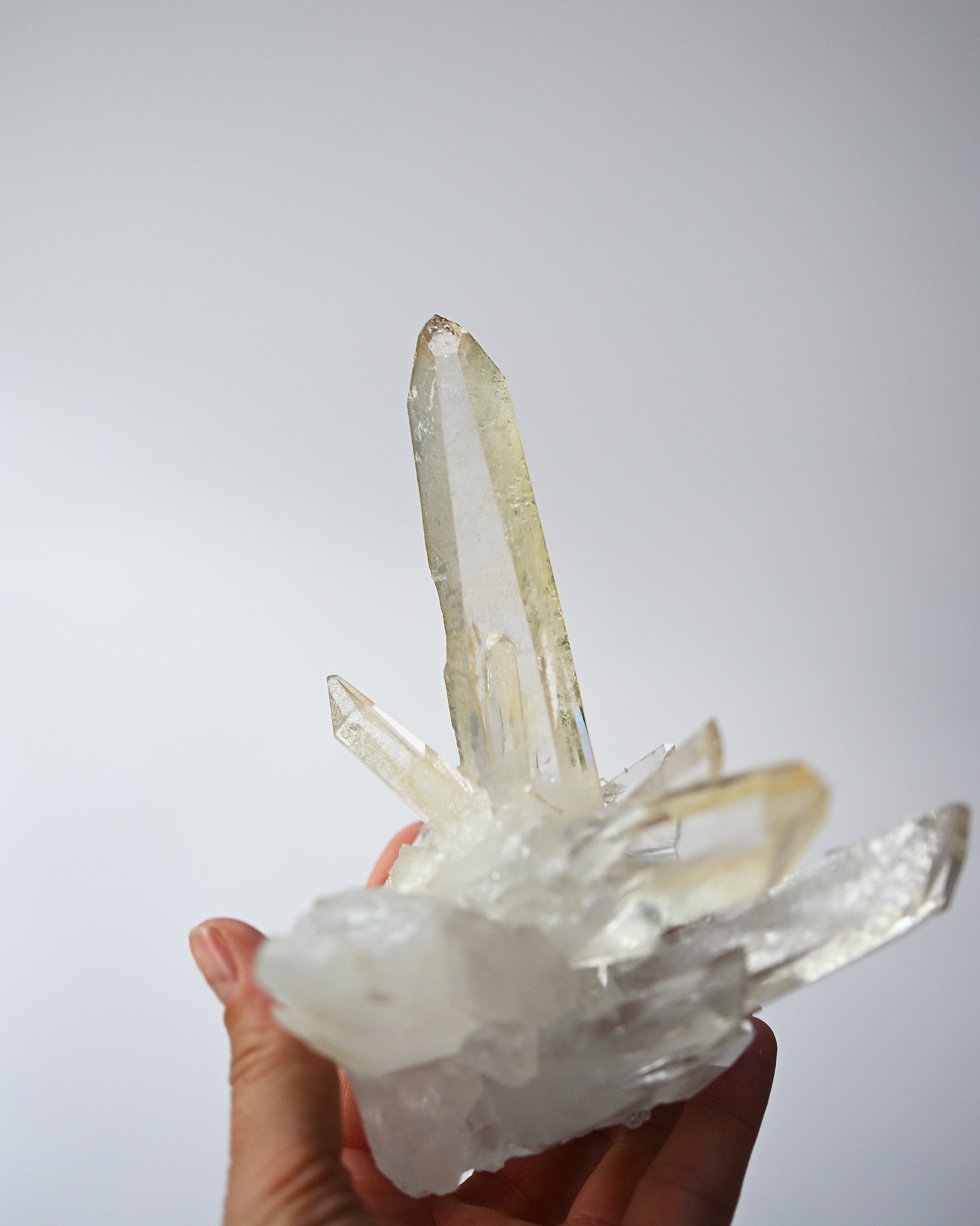 lemurian--4x4x-3--250--115c-8668_0f8f21e7-483f-4a87-8b38-53315870b30c.jpg