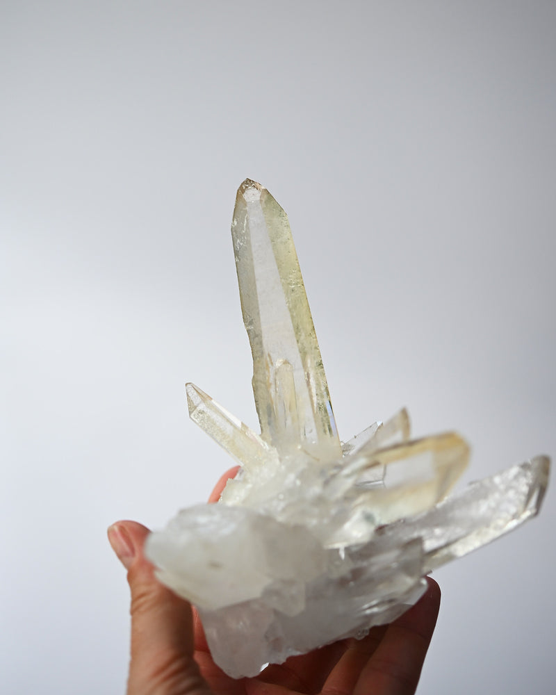 lemurian quartz crystal mias gerais