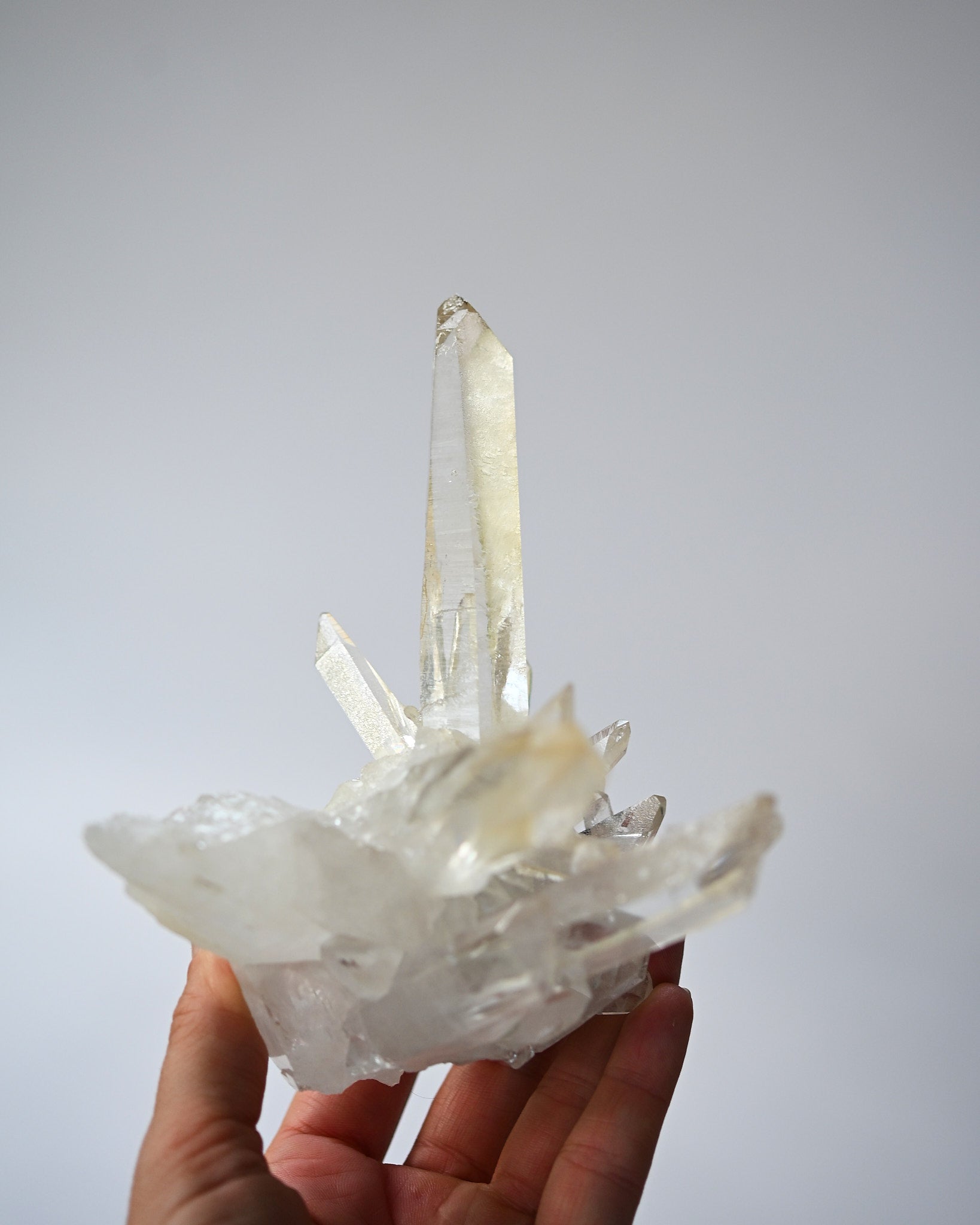 Lemurian Cluster 4in