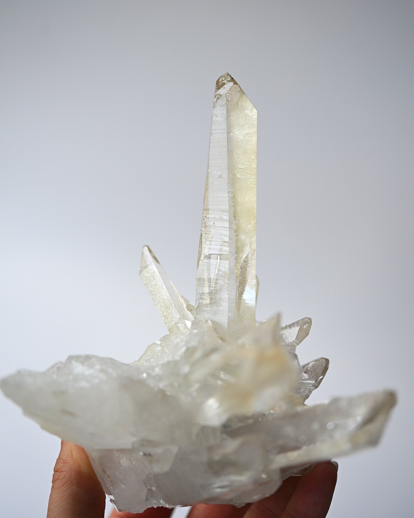 Lemurian Cluster 4in