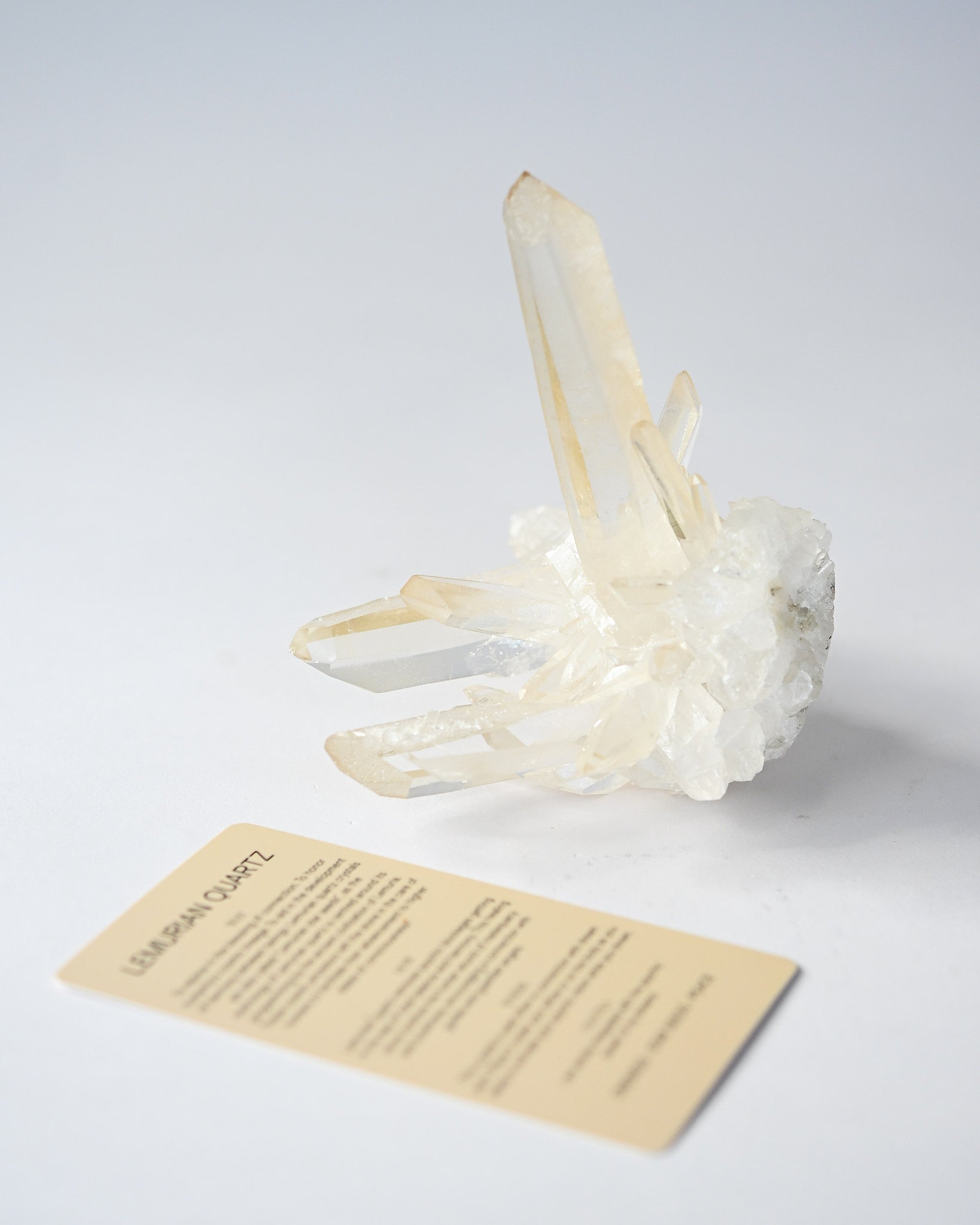 Lemurian Cluster 4in