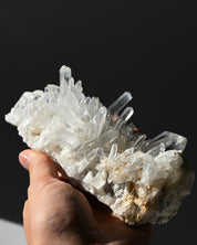 Lemurian Quartz Cluster 5 in