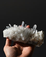Lemurian Quartz Cluster 5 in