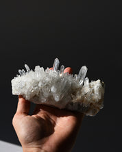 Lemurian Quartz Cluster 5 in