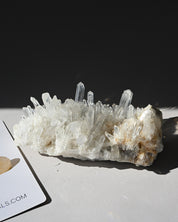 Lemurian Quartz Cluster 5 in