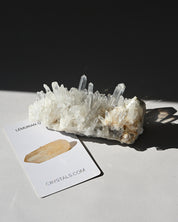 Lemurian Quartz Cluster 5 in