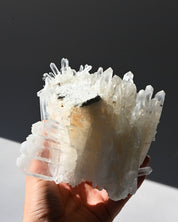 Lemurian Cluster 2.8lbs