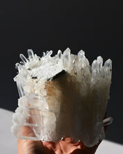 Lemurian Cluster 2.8lbs