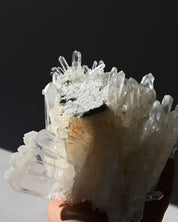 Lemurian Cluster 2.8lbs
