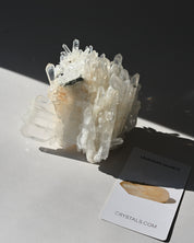 Lemurian Cluster 2.8lbs