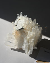 Lemurian Cluster 2.8lbs