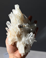 DT Lemurian Quartz Cluster